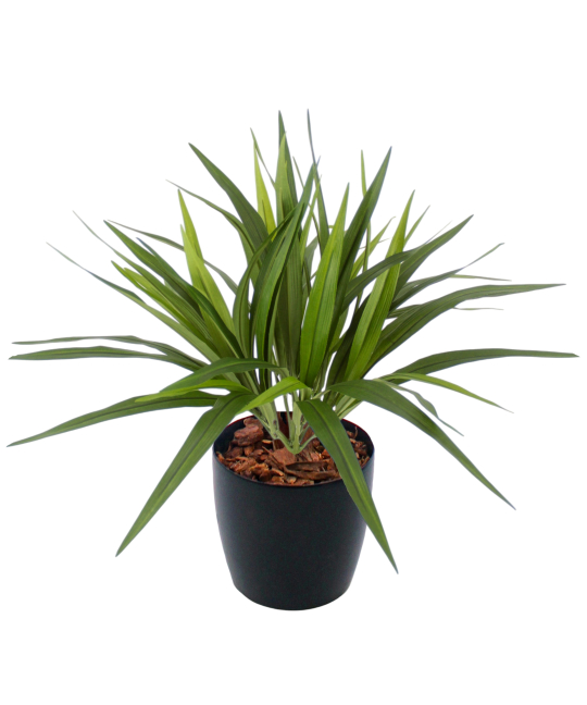 Chlorophytum artificiel vert
