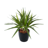Chlorophytum artificiel vert