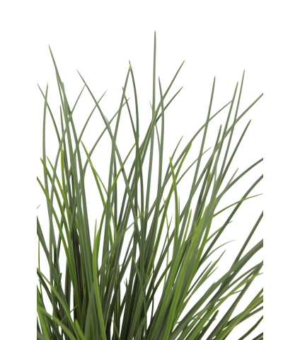 Herbe des dunes artificielle