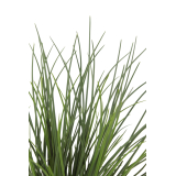 Herbe des dunes artificielle