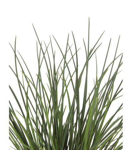 Herbe des dunes artificielle