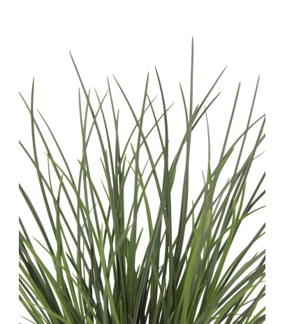 Herbe des dunes artificielle