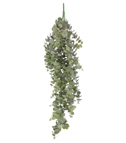 Eucalyptus artificiel gunnii