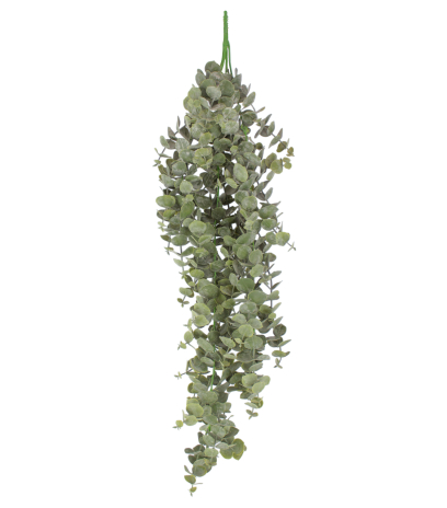 Eucalyptus artificiel gunnii