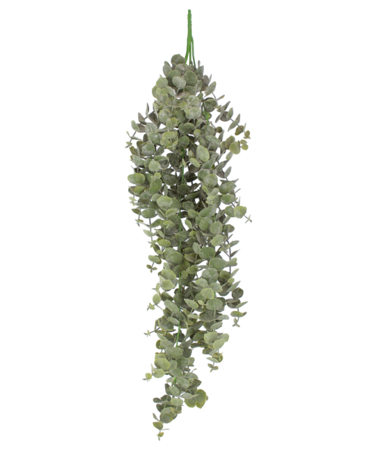 Eucalyptus artificiel gunnii