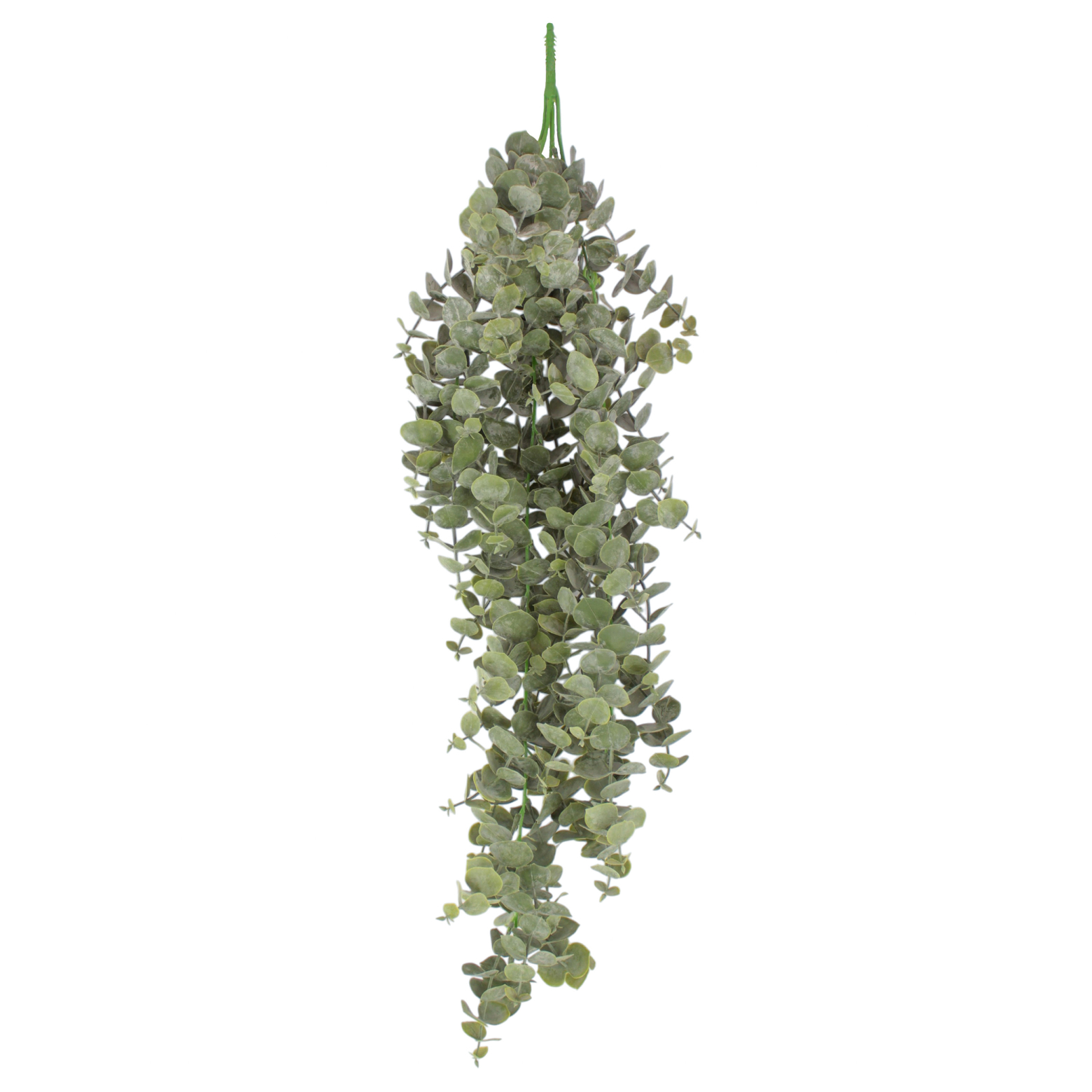 Eucalyptus artificiel gunnii