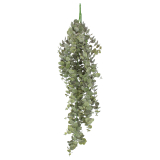 Eucalyptus artificiel gunnii