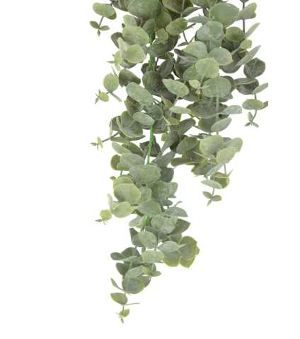 Eucalyptus artificiel gunnii