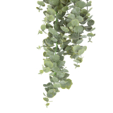 Eucalyptus artificiel gunnii