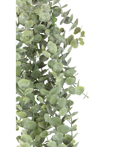 Eucalyptus artificiel gunnii