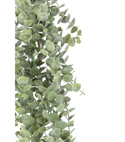 Eucalyptus artificiel gunnii