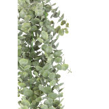Eucalyptus artificiel gunnii