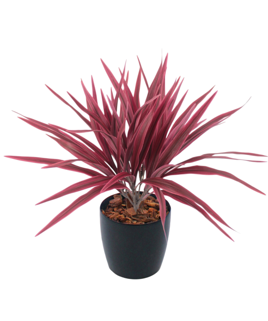 Chlorophytum artificiel rouge