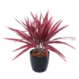 Chlorophytum artificiel rouge