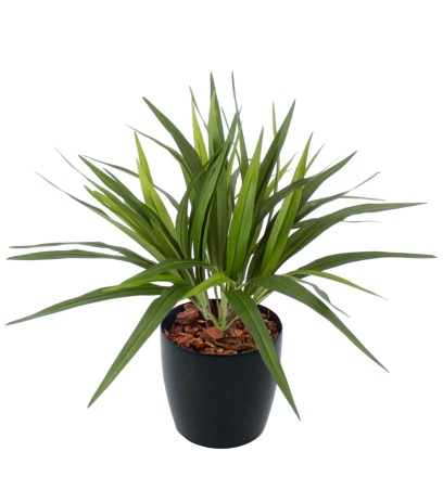 Chlorophytum artificiel vert