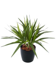 Chlorophytum artificiel vert