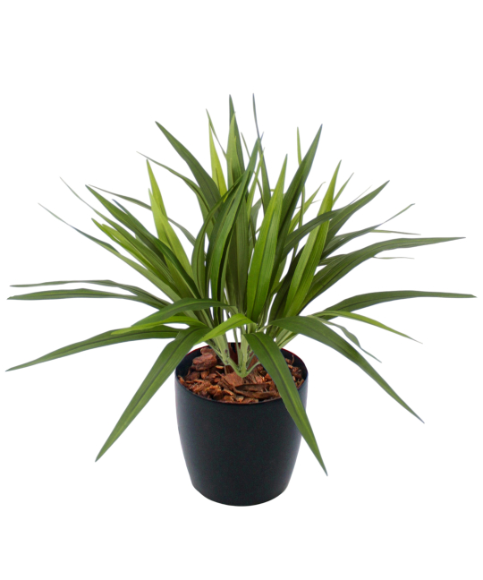 Chlorophytum artificiel vert