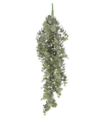 Eucalyptus artificiel gunnii