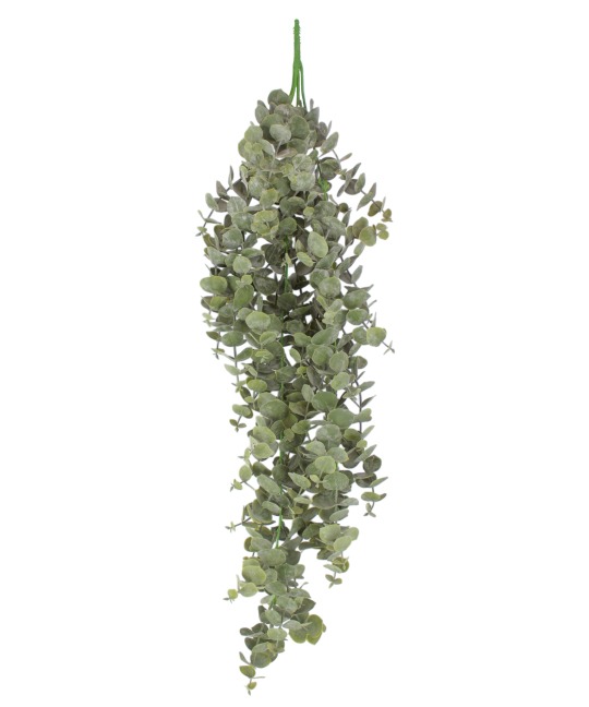 Eucalyptus artificiel gunnii