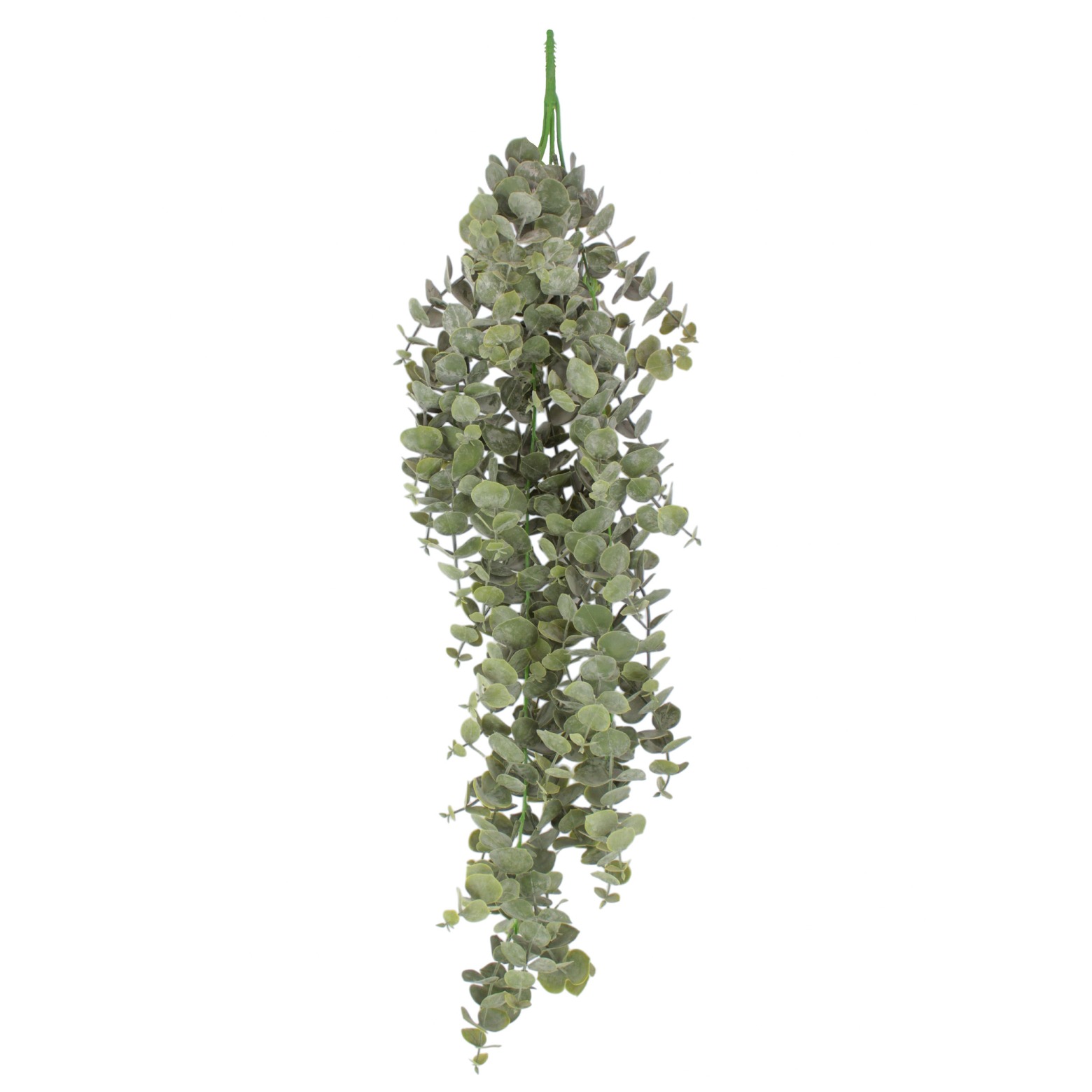 Eucalyptus artificiel gunnii