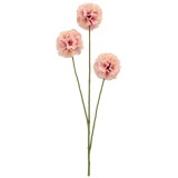 Scabieuse triandra rose artificielle