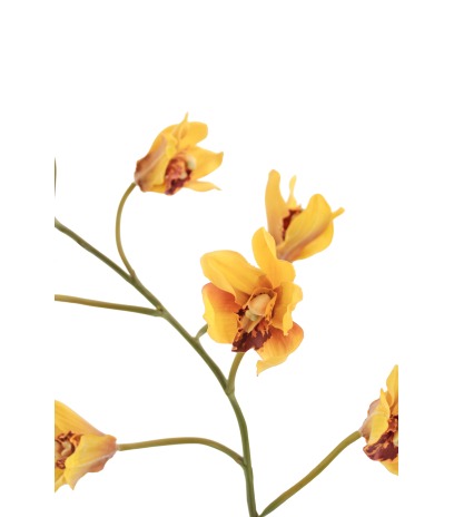 Cymbidium artificiel fleuri