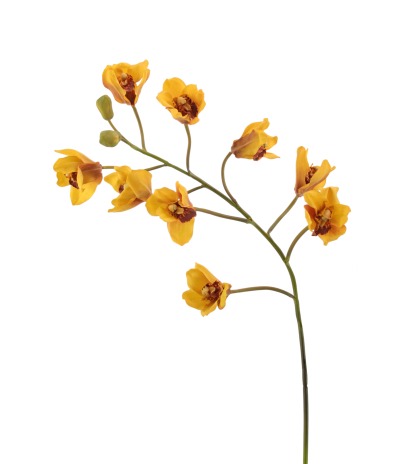 Cymbidium artificiel fleuri