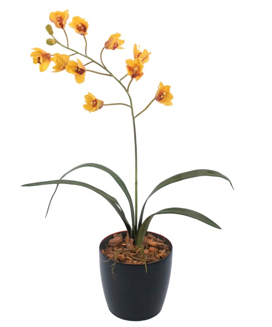 Cymbidium artificiel fleuri