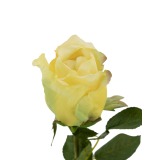 Rose artificielle jaune bouton