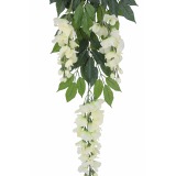 Tige de glycine artificielle blanche