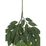 Tige de glycine artificielle blanche