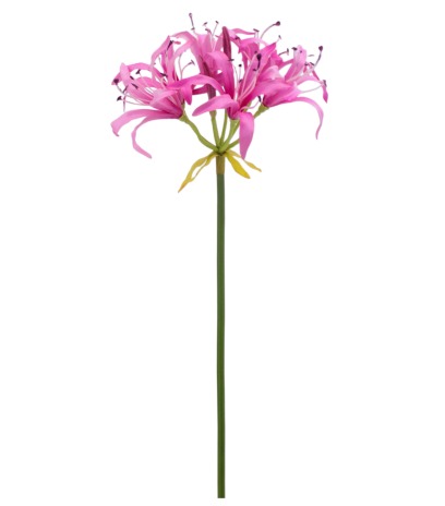 Nérine rose artificielle