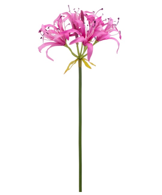 Nérine rose artificielle
