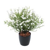 Grande marguerite blanche artificielle