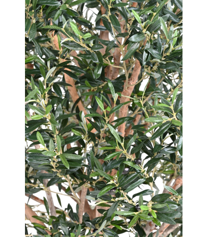 Olivier large artificiel