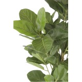 Ficus artificiel large robusta