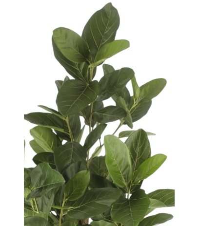 Ficus artificiel large robusta