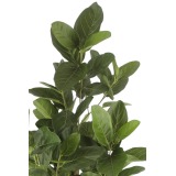Ficus artificiel large robusta