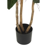 Pot