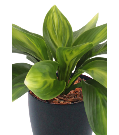 Hosta guacamole artificielle