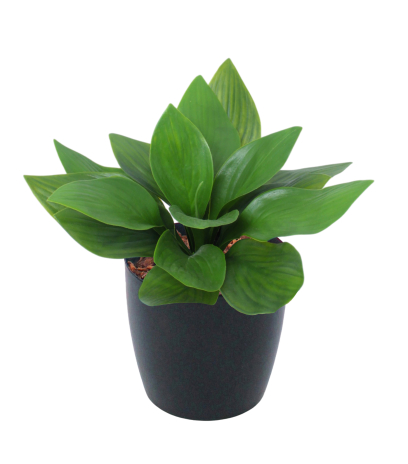 Petit hosta artificiel vert