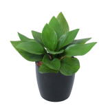 Petit hosta artificiel vert
