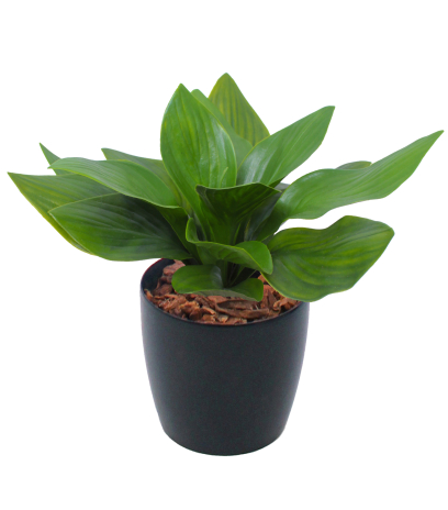 Petit hosta artificiel vert