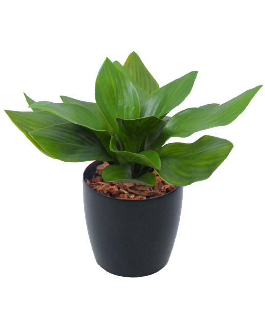 Petit hosta artificiel vert