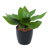 Petit hosta artificiel vert