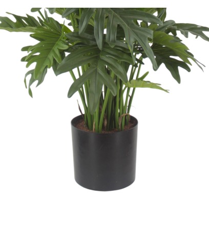 Pot