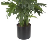 Pot