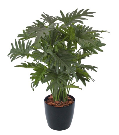 Philodendron selloum artificiel