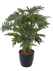 Philodendron selloum artificiel