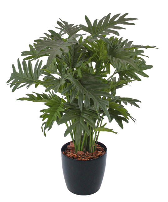 Philodendron selloum artificiel
